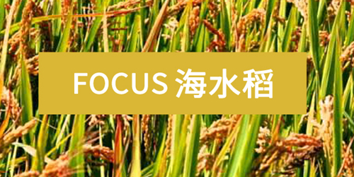 【热点】是什么农业黑科技让外国网友惊叹不已?