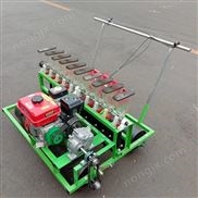 蔬菜基地种植播种机