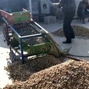 水稻震動(dòng)篩選機(jī) 大豆凈糧篩選機(jī) 小麥種子***機(jī)效果好